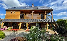 Hallerbos B&B In Bluebell Forest